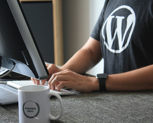 wordpress website fe