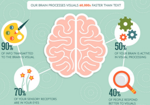 human brain more visuals
